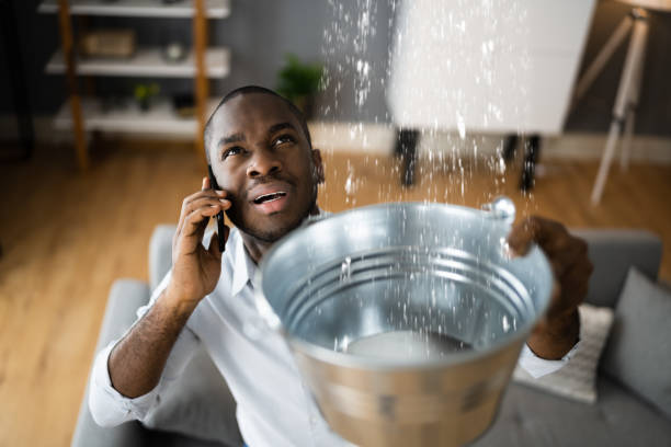 Best Water damage cleanup near me  in Dyer, IN