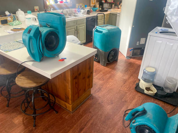 Best Residential water damage restoration  in Dyer, IN