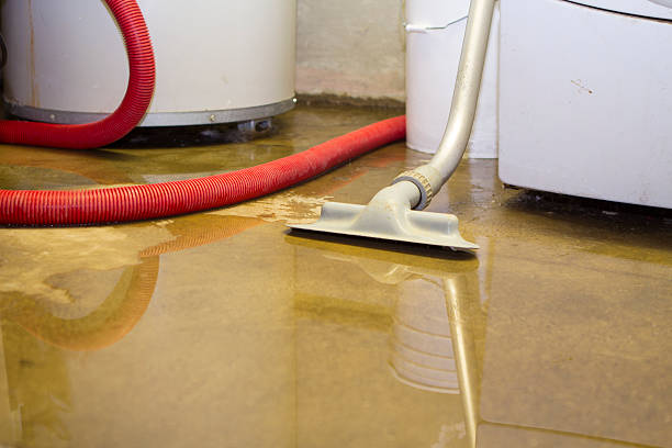Best Water damage contractors near me  in Dyer, IN